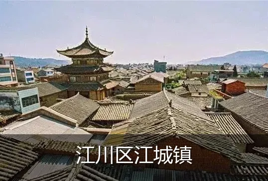 江川区江城镇